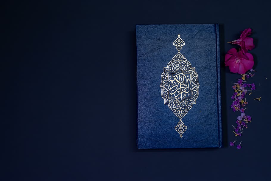 Quran Tab's Hero Image